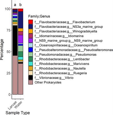 Commercial production of Florida pompano (Trachinotus carolinus) larvae at low salinity induces variable changes in whole-larvae microbial diversity, gene expression, and gill histopathology